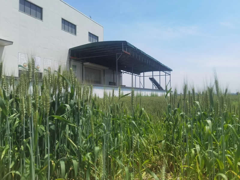 杭州径山：建设智慧农业 激活农业创新动力